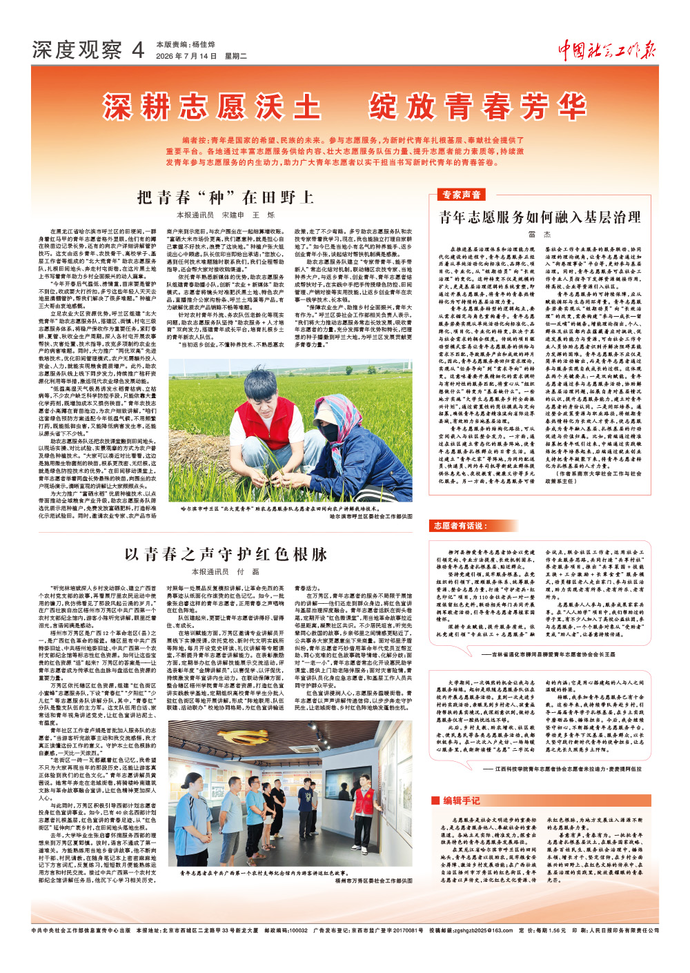 报纸版面图