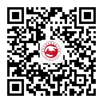 二维码图