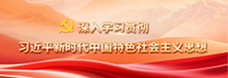     深入学习贯彻习近平新时代中国特色社会主义思想     2024-10-01