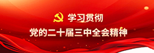     学习贯彻党的二十届三中全会精神     2024-10-01
