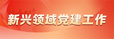     新兴领域党建工作     2025-1-17